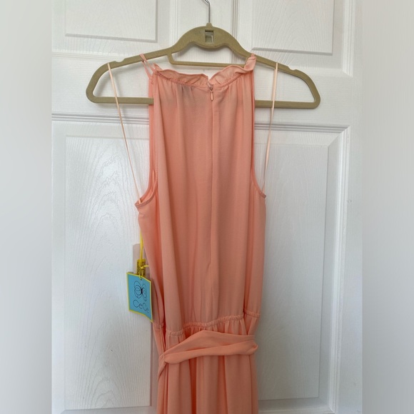 NEW DRESS - Picture 6 of 6